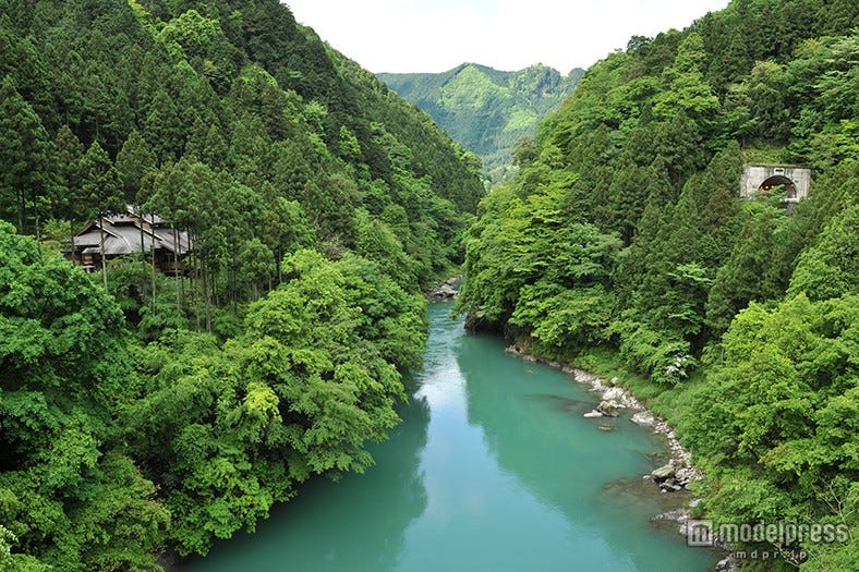 東京の大自然オーガニックカフェでごちそうランチ