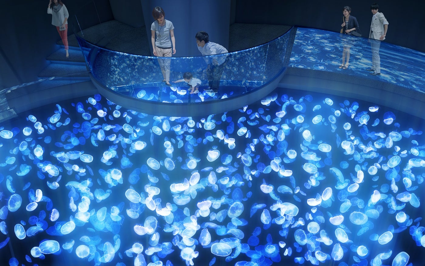 クラゲの新体感水槽「ビッグシャーレ」（イメージ）／画像提供：すみだ水族館 