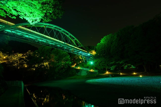 北欧をイメージするカラーに期間限定ライトアップ／画像提供：飯能市