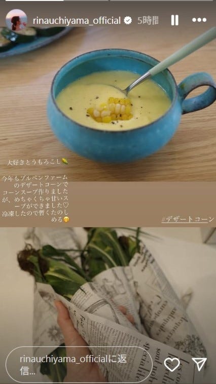 内山理名Instagramストーリーズより