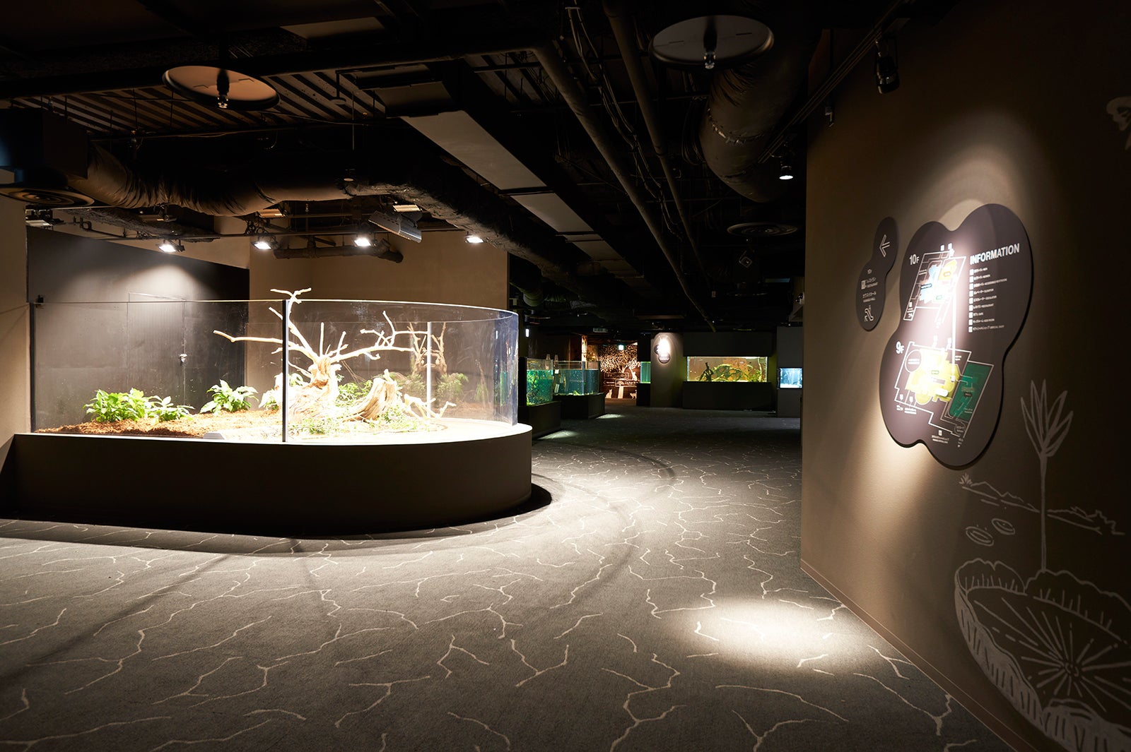 カワスイ 川崎水族館／画像提供：アクア・ライブ・インベストメント