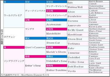【日本ダービー】皐月賞馬ロブチェン 牝系のスピード＆パワーに父譲りのスタミナで“頂”へ