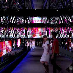 「クラゲ万華鏡トンネル」昼バージョン/画像提供:すみだ水族館