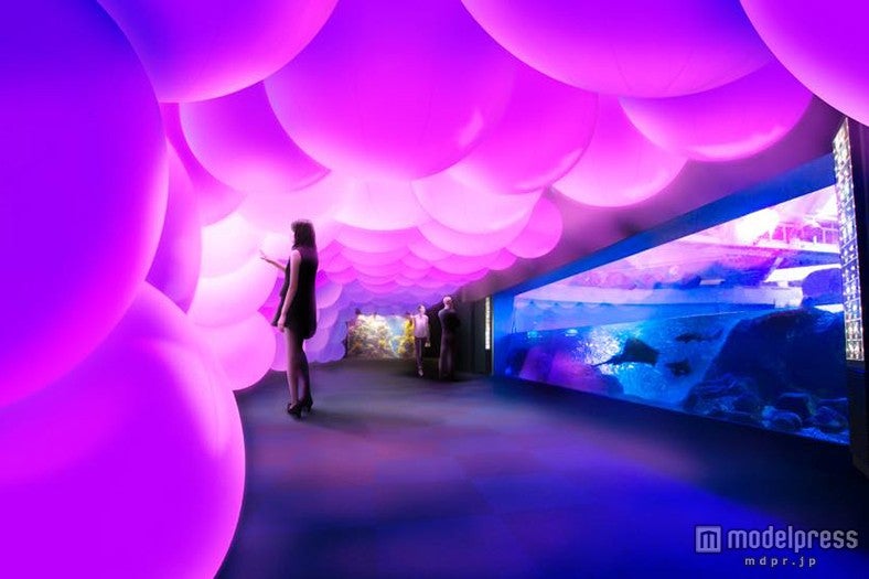 「呼応する球体と夜の魚たち／Resonating Spheres and Night Fish」／画像提供：新江ノ島水族館