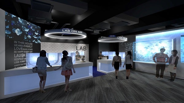 クラゲの繁殖過程を観察できる水槽展示（イメージ）／画像提供：京都水族館