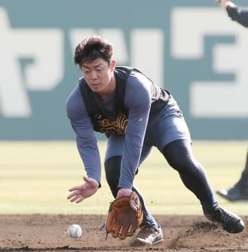 阪神・ドラ2谷端 能登地震に実家で被災 祖父母は仮設住宅に移住「全力で頑張ってるところは見せたい」