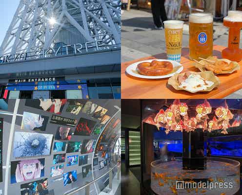 東京スカイツリータウン、今秋は“初”尽くし!オクトーバーフェストに「呪術廻戦」コラボ…丸1日楽しめる見どころを紹介