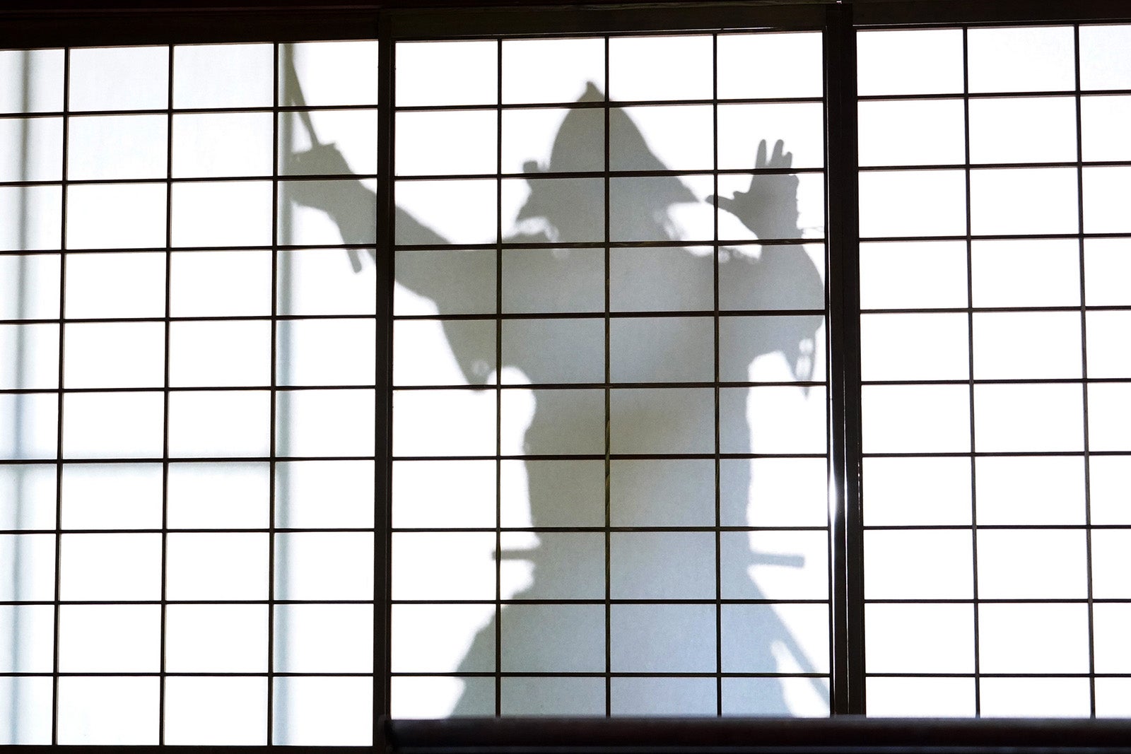 「金田一少年の事件簿」第8話（C）日本テレビ