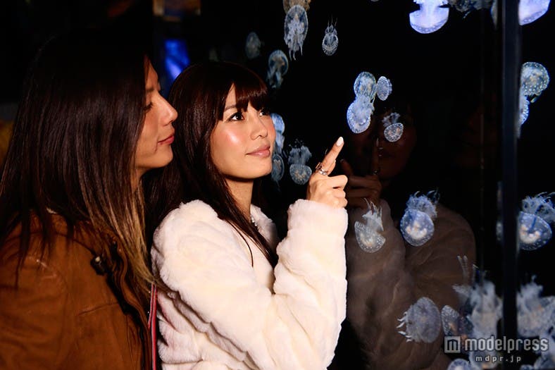 ぴったり寄り添いクラゲを観賞