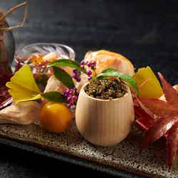 ふふ 旧軽井沢 静養の森/画像提供:カトープレジャーグループ