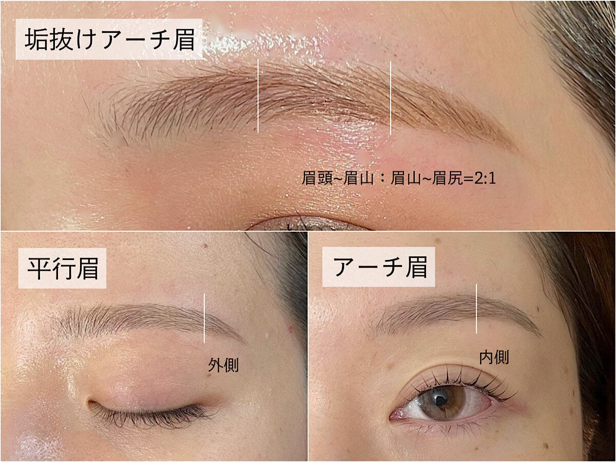 眉の種類
