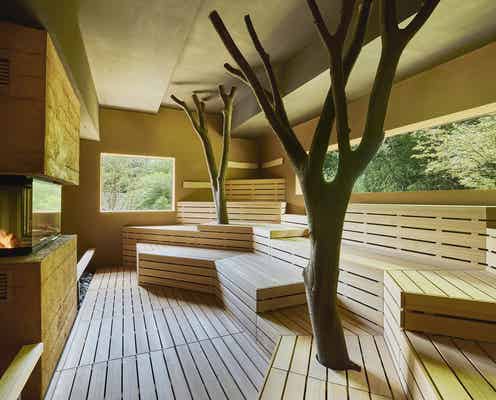 里山の自然活かした“山&滝サウナ”が革新的!千葉「SATOYAMA TERRACE」で新感覚のリフレッシュ体験