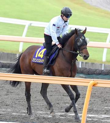 【宝塚記念】ミクニインスパイア 大物食いでタイトル奪取だ 1年前未勝利の身から一気に夢舞台へ 田中助手「武器は自在性」