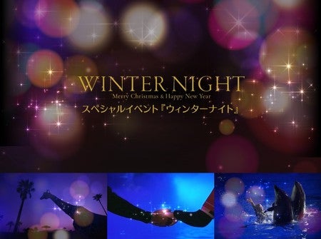 ウィンターナイト／画像提供：アドベンチャーワールド