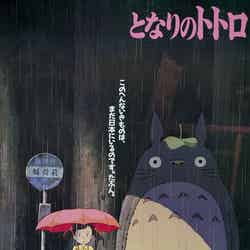 となりのトトロ（C）1988 Studio　Ghibli