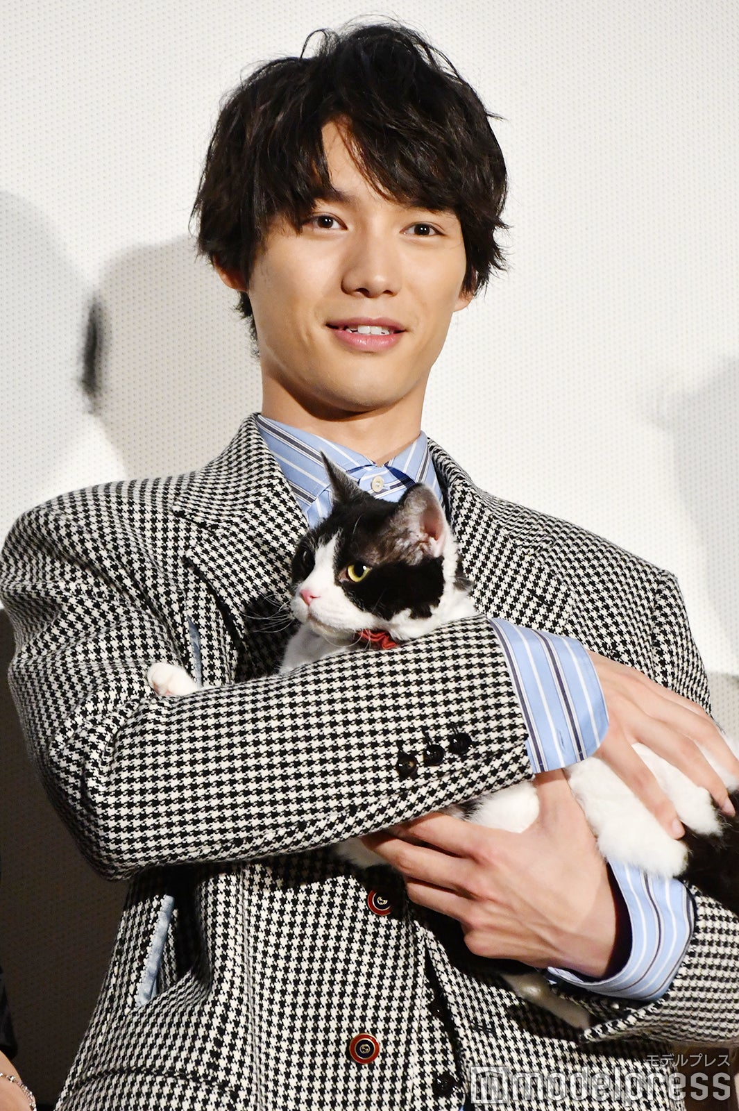 福士蒼汰と主演猫のナナ （C）モデルプレス