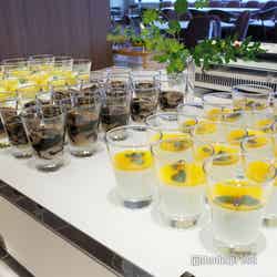 グランドメルキュール八ヶ岳リゾート&スパ(C)モデルプレス