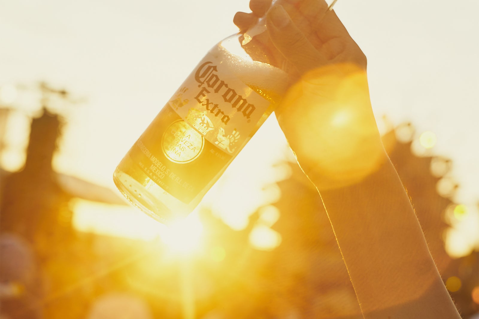 メキシコのプレミアムビール「コロナ・エキストラ」／飲み口に差し込まれたライムをギュッと絞ればより爽やかな味わいに（提供画像）