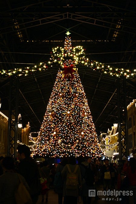 ライトアップされたクリスマスツリー