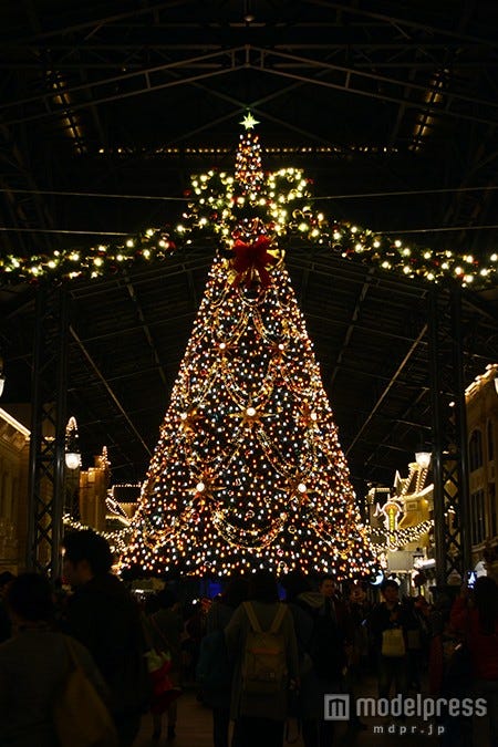 ライトアップされたクリスマスツリー