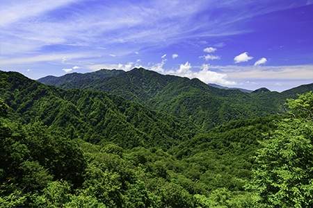 「秋田県」