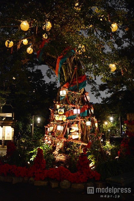 ロストリバーデルタのツリー（夜）