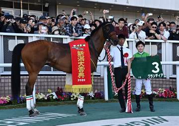 【新潟大賞典】7番人気のグランディアが7歳にして重賞初制覇 2週連続重賞制覇の西村淳「あすも同じ中内田厩舎の馬でウイナーズサークルでしゃれべることを願っています」