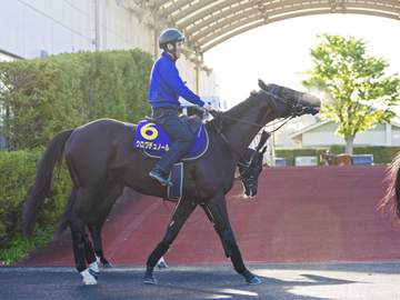 【天皇賞】クロワデュノール 最強証明だ 17年キタサンブラック以来の大阪杯→春盾連勝へ 斉藤崇師「リズム良く運べれば」