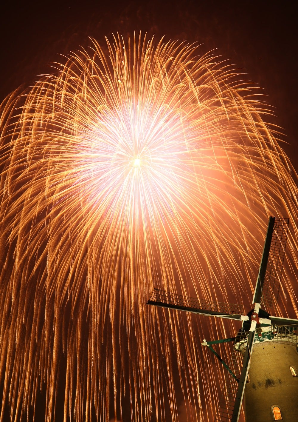 目と耳と腹、身体全体で味わう二尺玉／画像提供：佐倉市