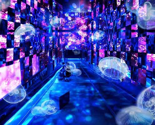 すみだ水族館×清川あさみが初コラボ!宮沢賢治の童話をテーマに幻想世界へと誘う