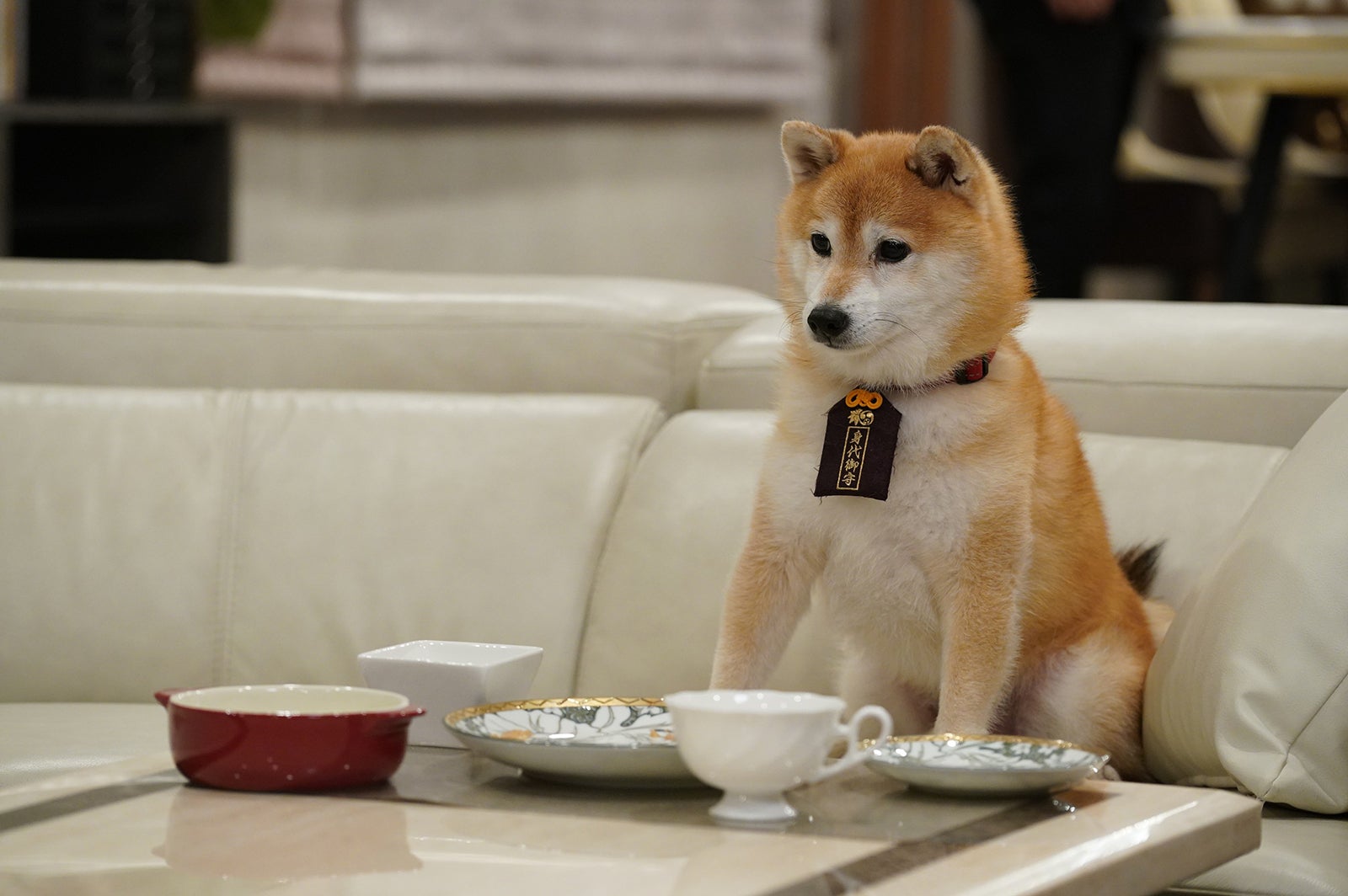 「ナンバMG5」第9話より（C）フジテレビ