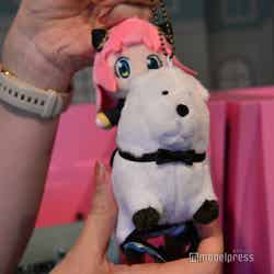 (C)モデルプレス