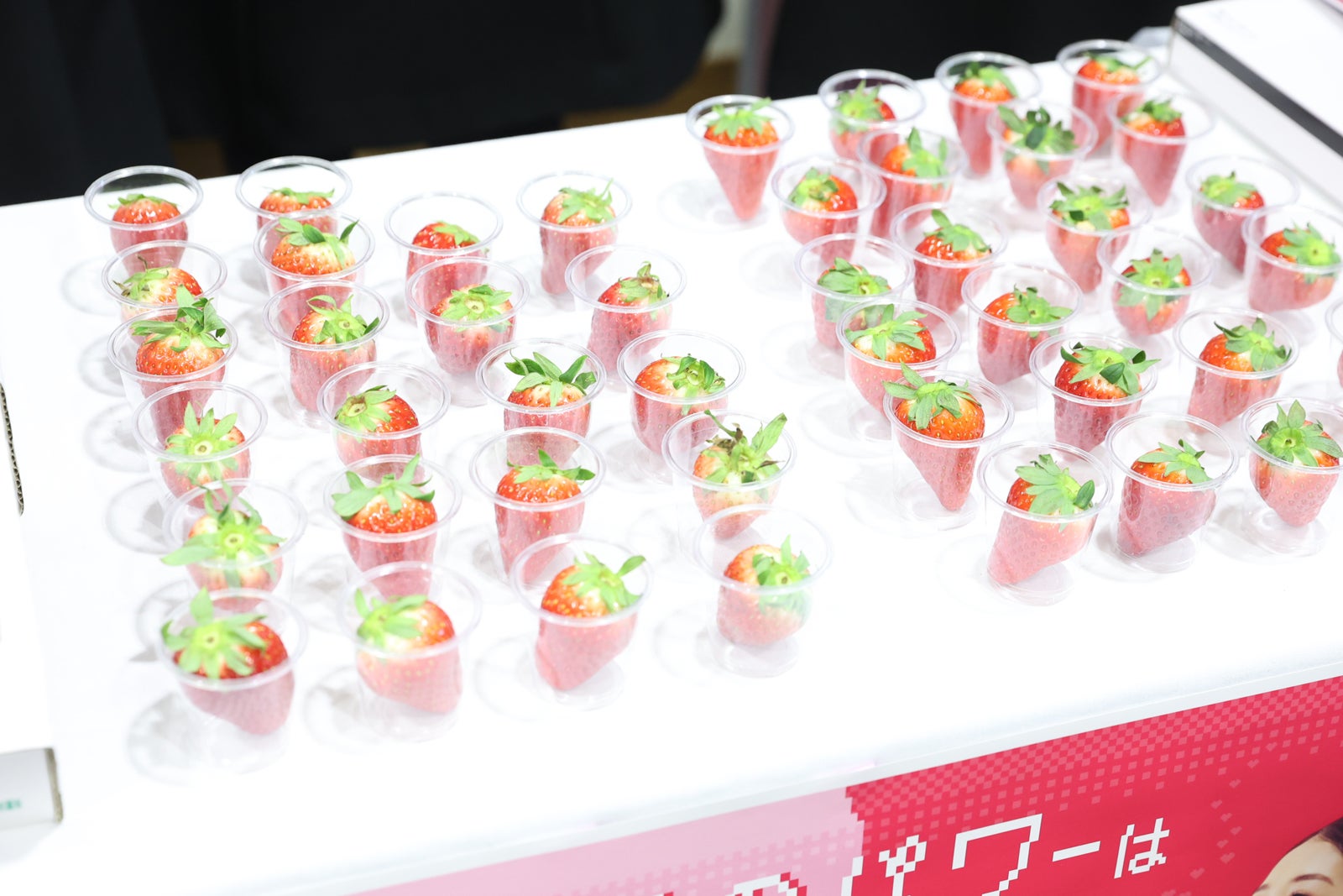 「TGCしずおか2025」ケータリング（C）SDGs推進 TGC しずおか 2025 by TOKYO GIRLS COLLECTION