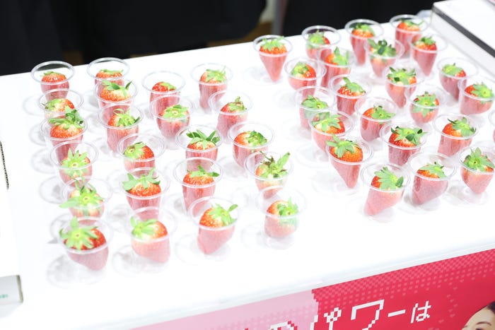 「TGCしずおか2025」ケータリング(C)SDGs推進 TGC しずおか 2025 by TOKYO GIRLS COLLECTION