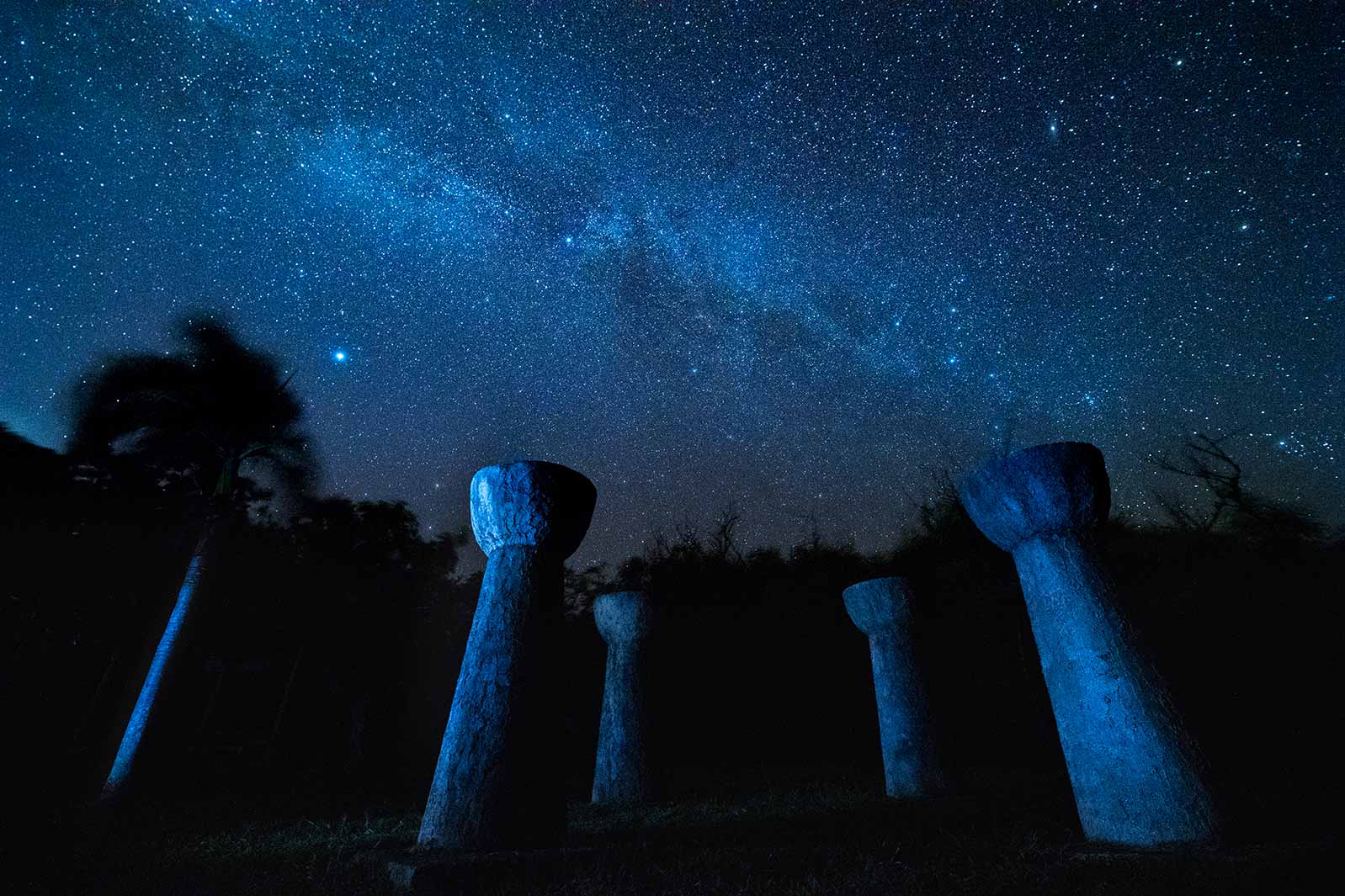 マリアナの澄んだ夜空に広がる満点の星空（C）Junji Takasago / MVA