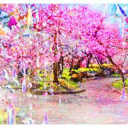 京都・北野天満宮で蜷川実花 with EiMのアートに浸る イマーシブ公演で“幻の茶会”を目撃<KYOTO NIPPON FESTIVAL>