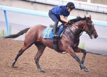 【関屋記念】ダノンセンチュリー 抜群リハ 前走9着から真価の再出発 萩原師の“形見”引き継ぐ宮田師「いい報告ができれば」