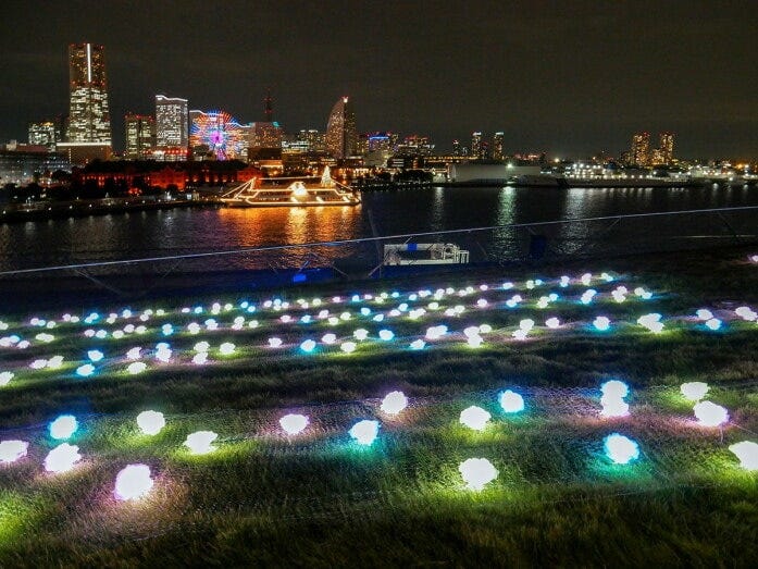 横浜港フォトジェニックイルミネーション2022～LOVE & PEACE～の様子（2022年11月1日撮影）