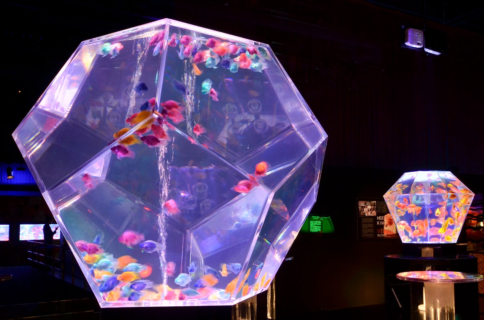 プリズリウム／画像提供：アートアクアリウム実行委員会