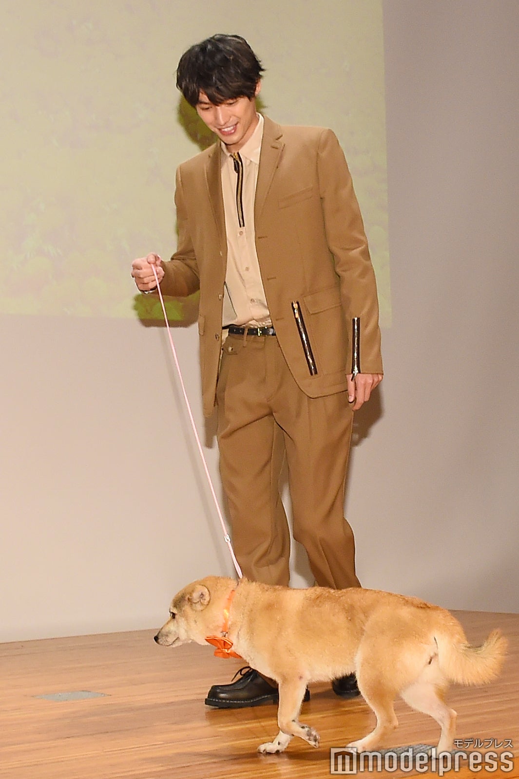 “シロ”を連れて登場した福士蒼汰 （C）モデルプレス