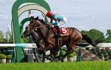 【京都新聞杯】新星誕生！コンジェスタスが無傷3連勝で重賞初制覇 西村淳「メンバーが強かったけど、この競馬。ダービーが楽しみです」
