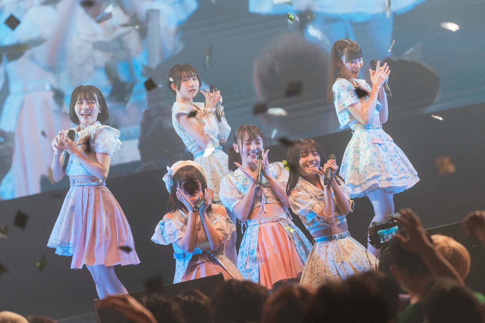 かすみ草とステラ／撮影：真島洸 （提供写真）