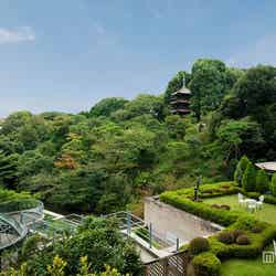 ホテル椿山荘東京。二万坪の庭園からの眺めは最高です。