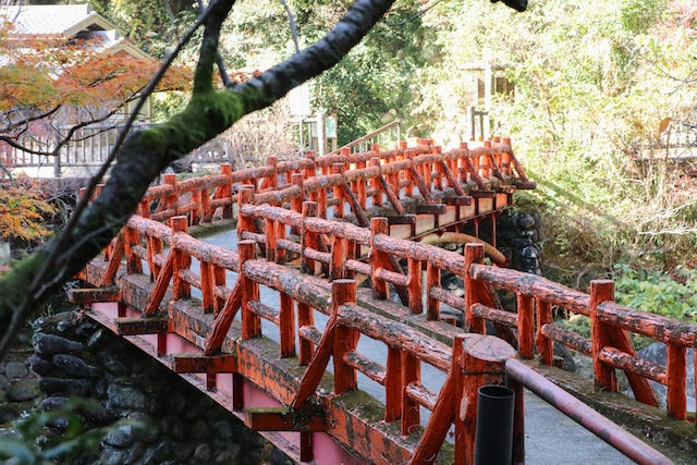 地元ライターおすすめ！大自然の中で紅葉が見られるスポット【和歌山県田辺市】