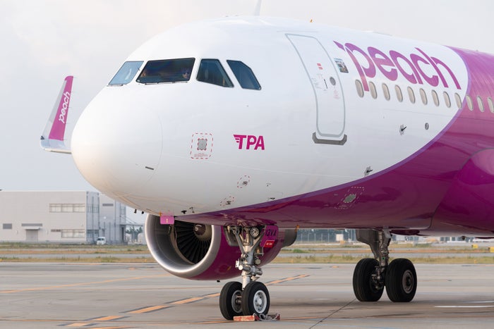 「おっさんずラブ」新作とコラボした特別機「OSSAN’S LOVE JET」(提供画像)