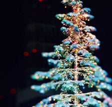 女子に聞く 好きなクリスマス映画 は モデルプレス 女子に聞く 好きなクリスマス映画 は モデルプレス