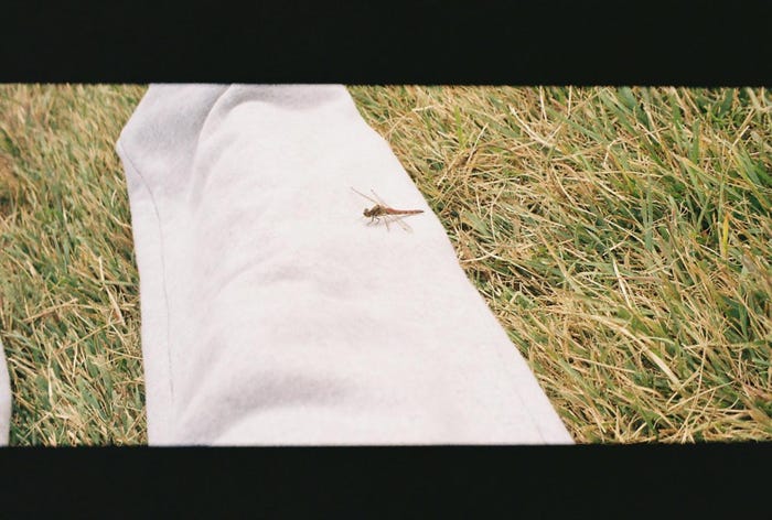 森田美勇人フォト&エッセイ「日常」より/撮影=森田美勇人 (提供写真)