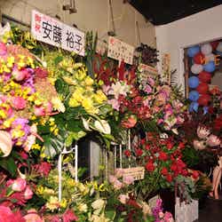 女性誌「JILLE」(双葉社)の創刊10周年記念イベント「JILLE 10th ANNIVERSARY PARTY」