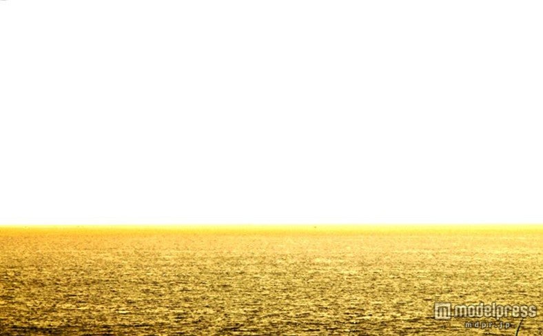 写真家・今井洋介のアートワーク