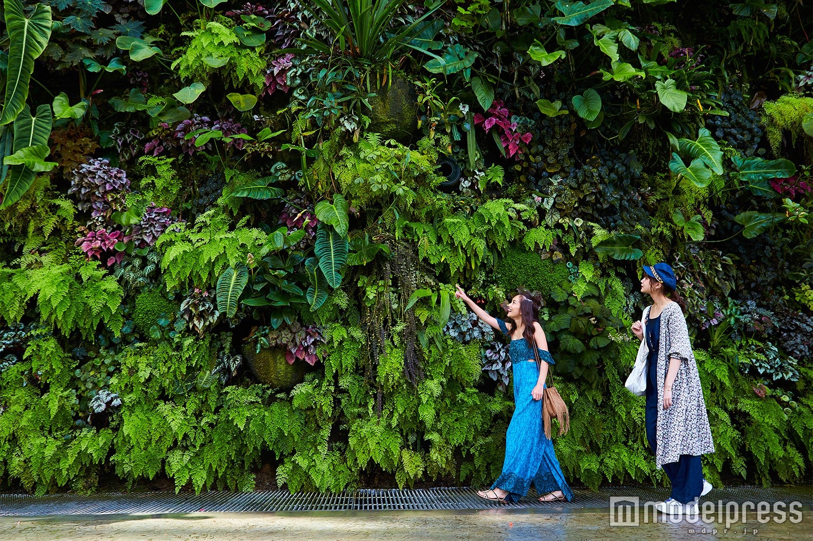 ガーデンズ・バイ・ザ・ベイ／左から：武智志穂、村田倫子（C）モデルプレス